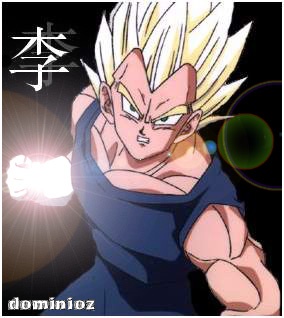 Dominio Z